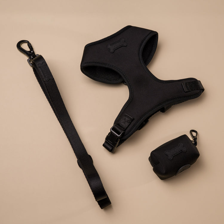 SET ARNES TRENDY