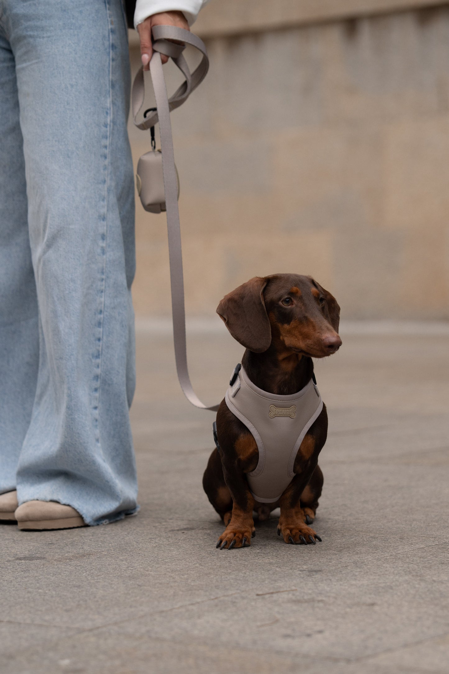 Set Arnes Trendy Sand