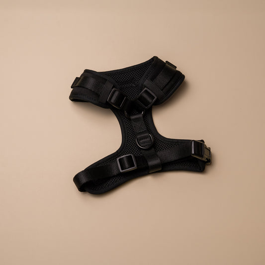 Set Arnes Trendy Black