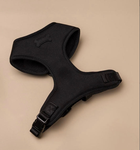 Arnes Trendy Black