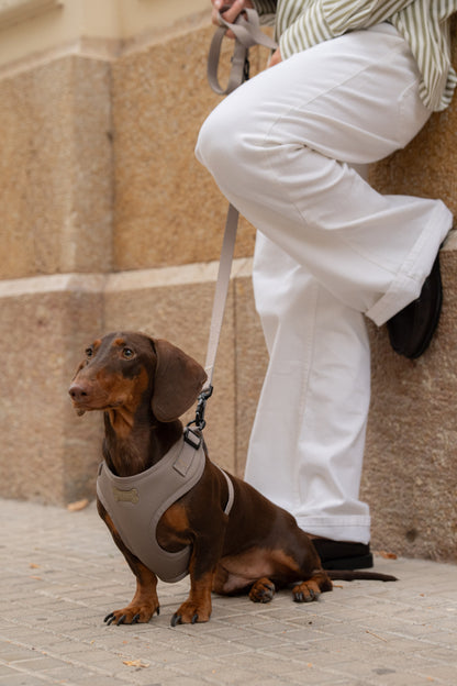 Set Arnes Trendy Olive