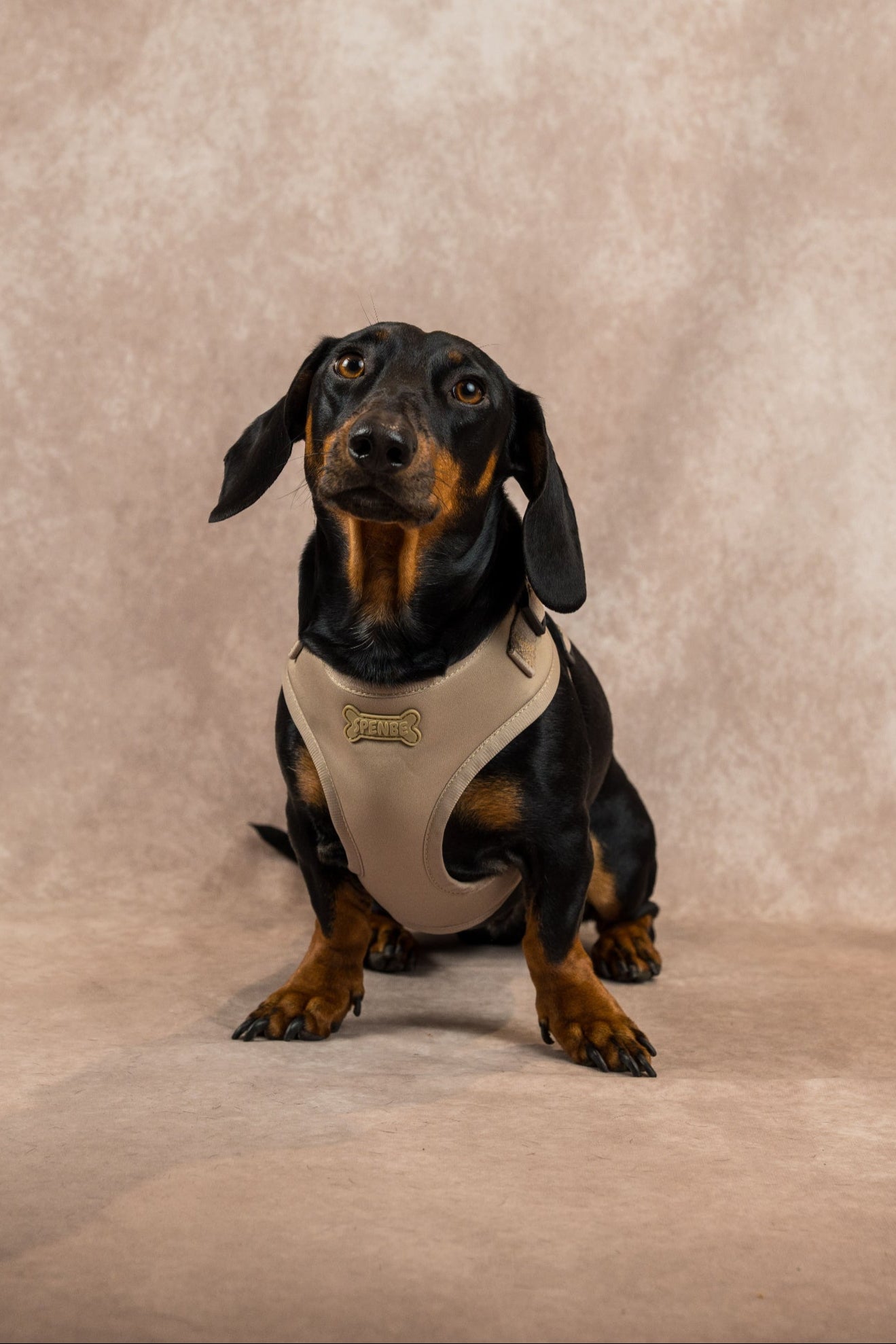 Set Arnes Trendy Beige