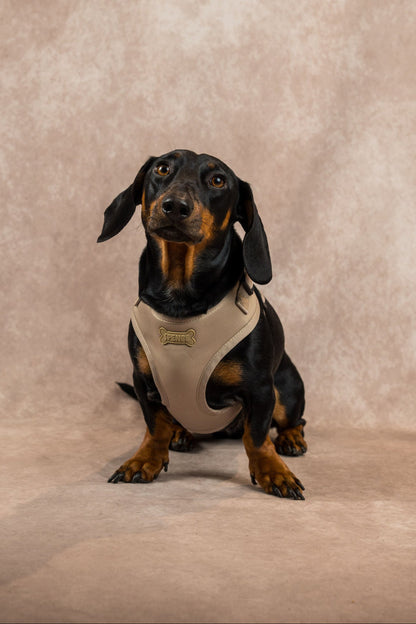 Set Arnes Trendy Beige