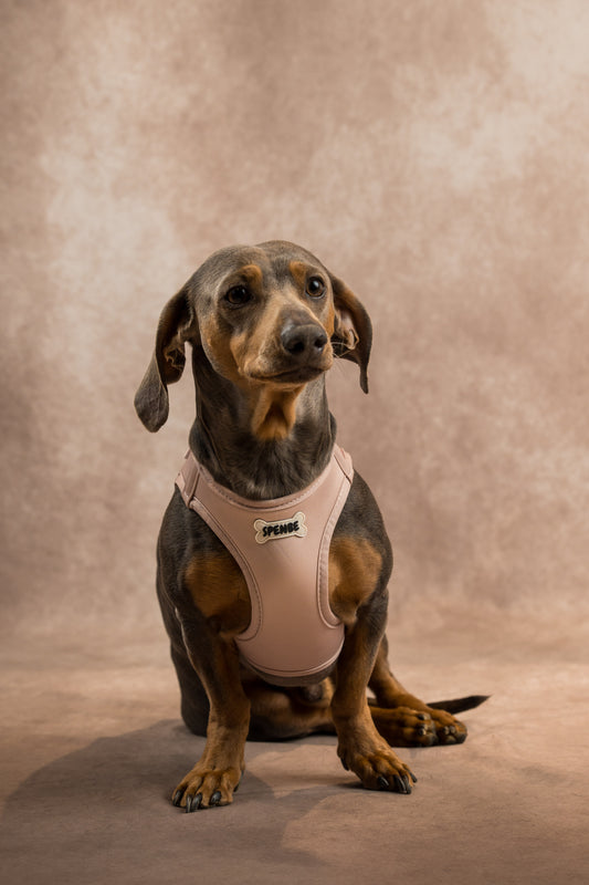 Arnes Comfy Neutral Rose