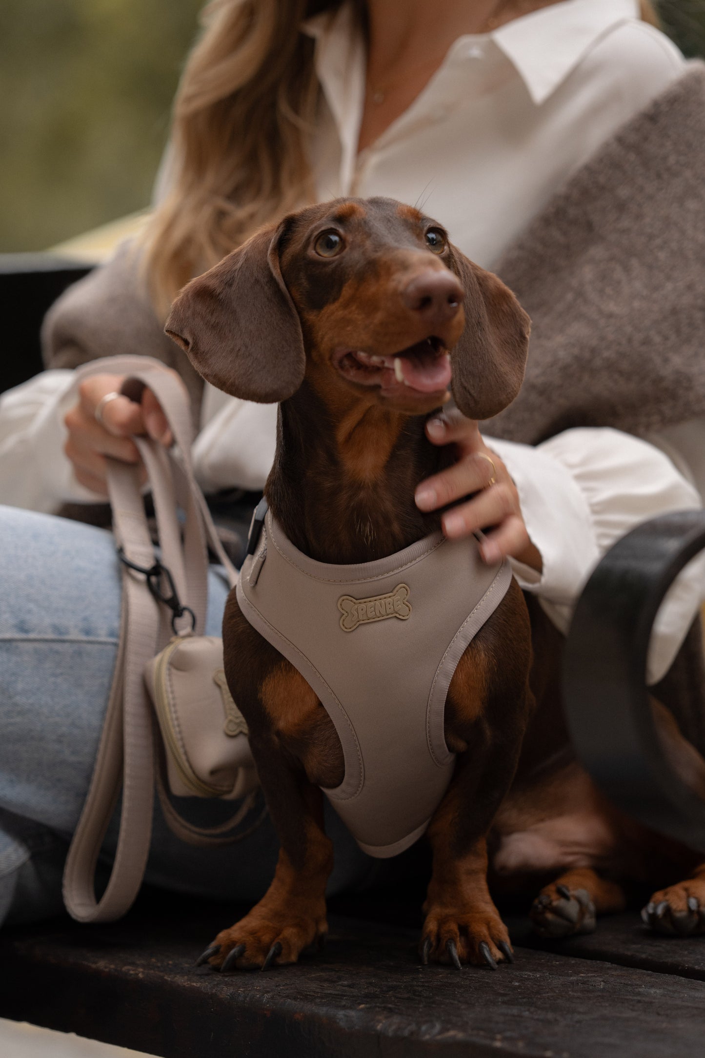 Set Arnes Trendy Beige