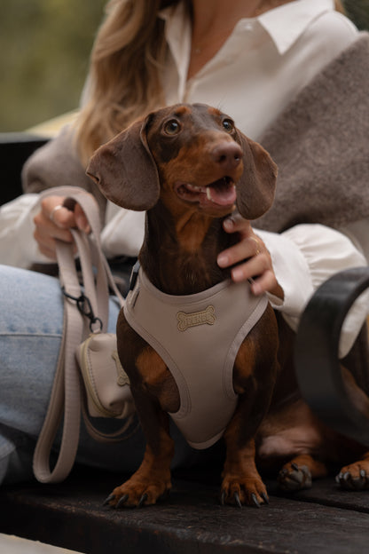 Set Arnes Trendy Beige