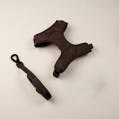 Set Trendy COCOA