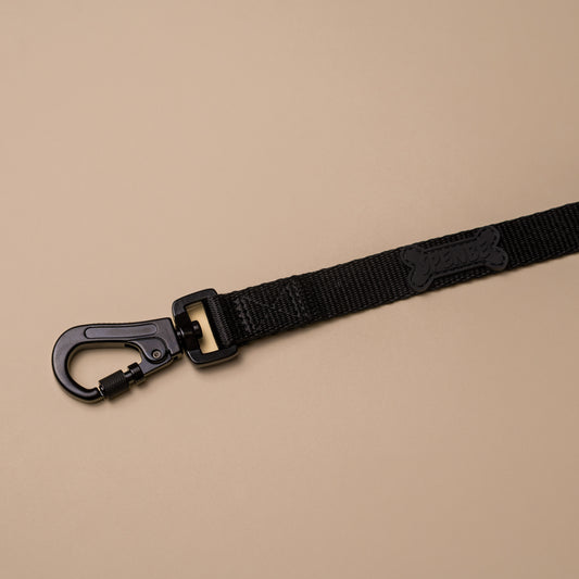 Correa Black